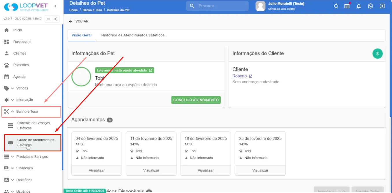 Captura de tela: 10. Acompanhamento das Etapas