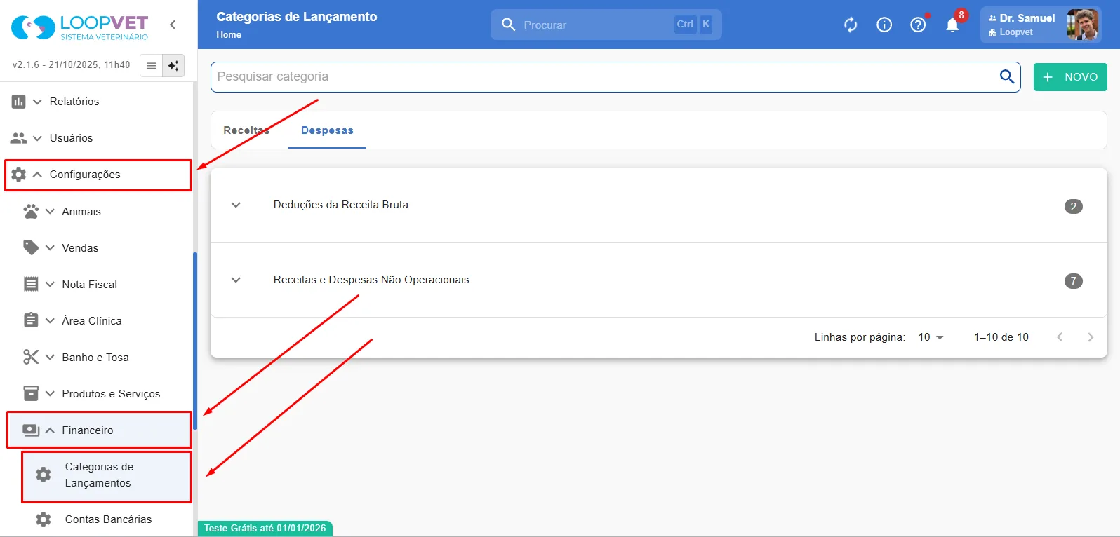 Captura de tela: 2.2 Excluir Categorias de Lançamentos