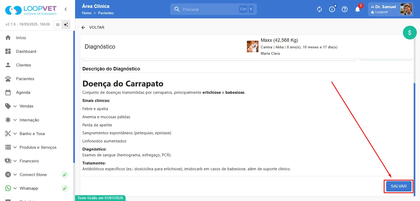 Captura de tela: 17. Diagnósticos
