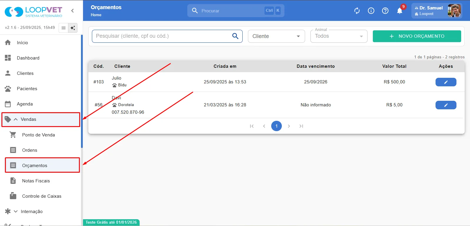 Captura de tela: 9.2 Visualização de Orçamentos