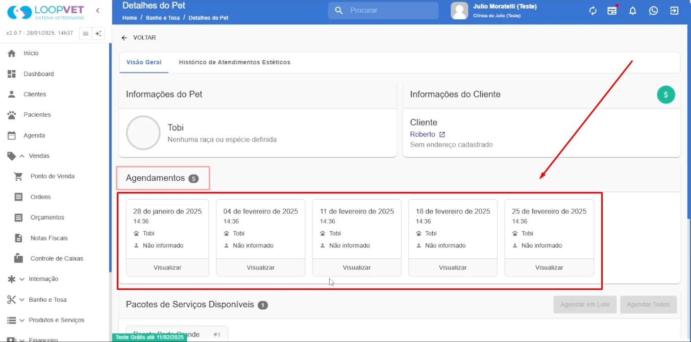 Captura de tela: 7. Visualização e Alteração dos Agendamentos