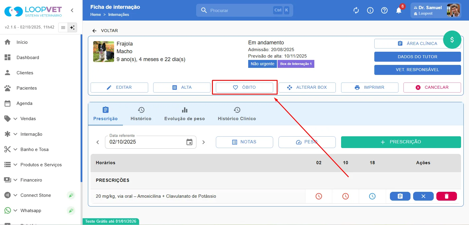 Captura de tela: 4.7 Informar Óbito