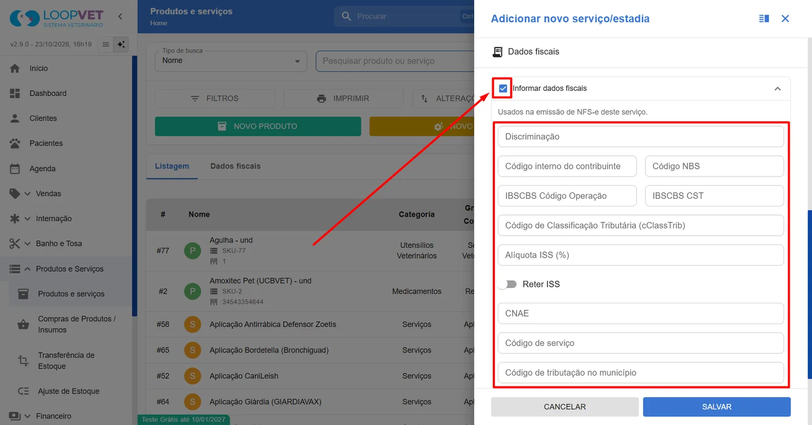 Captura de tela: 7.2 Como cadastrar Serviços