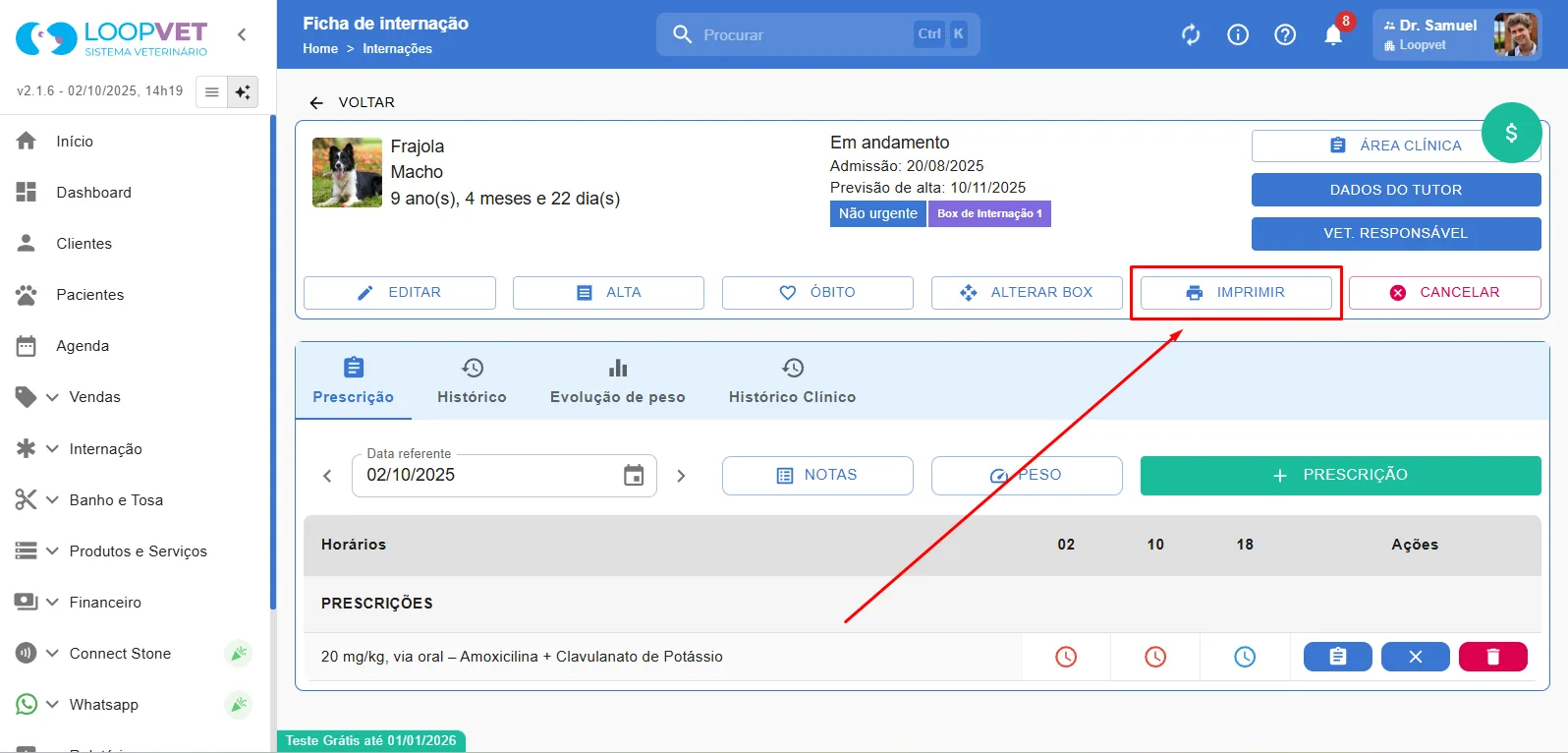 Captura de tela: 4.8 Imprimir Relatório de Internação