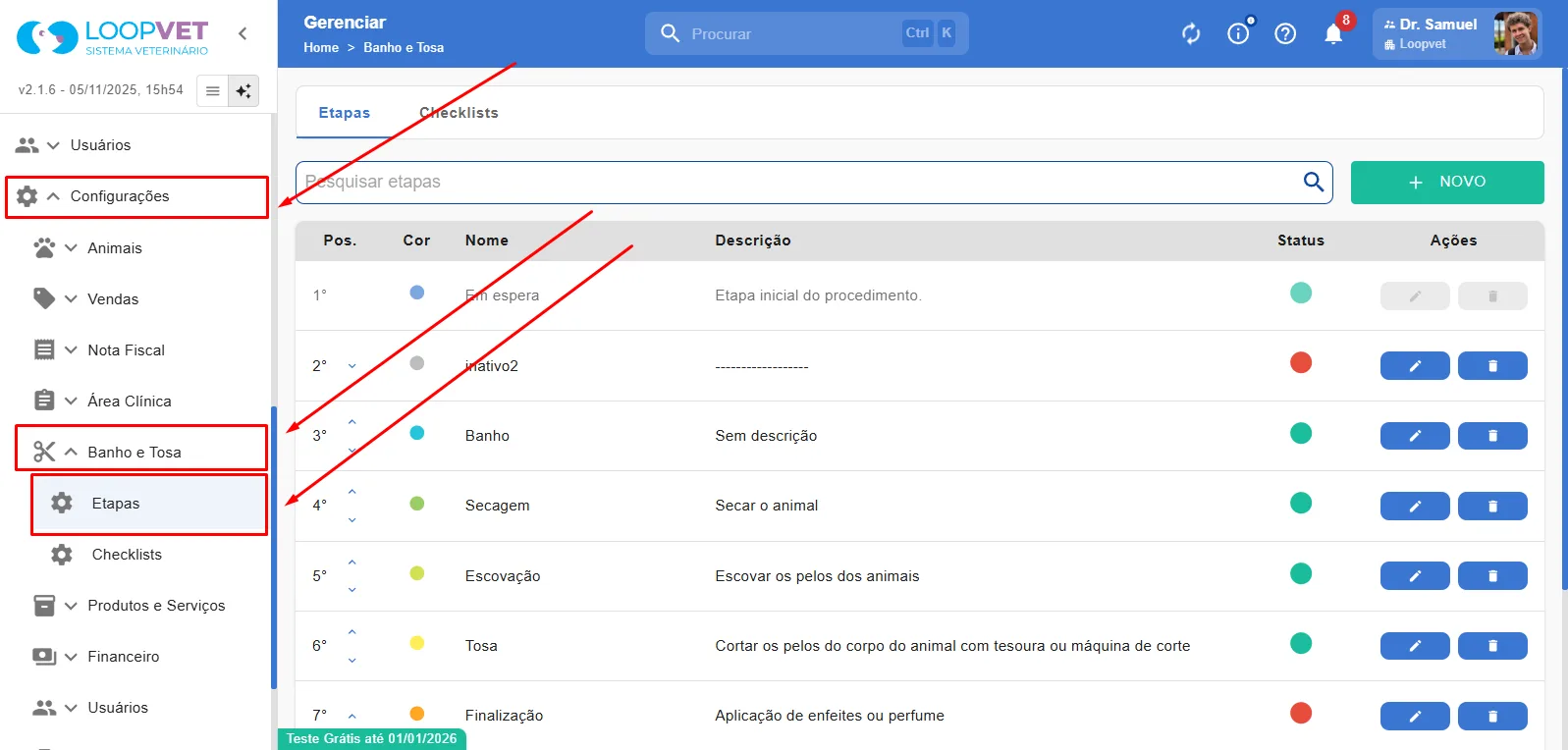 Captura de tela: 2.2 Excluir Etapas