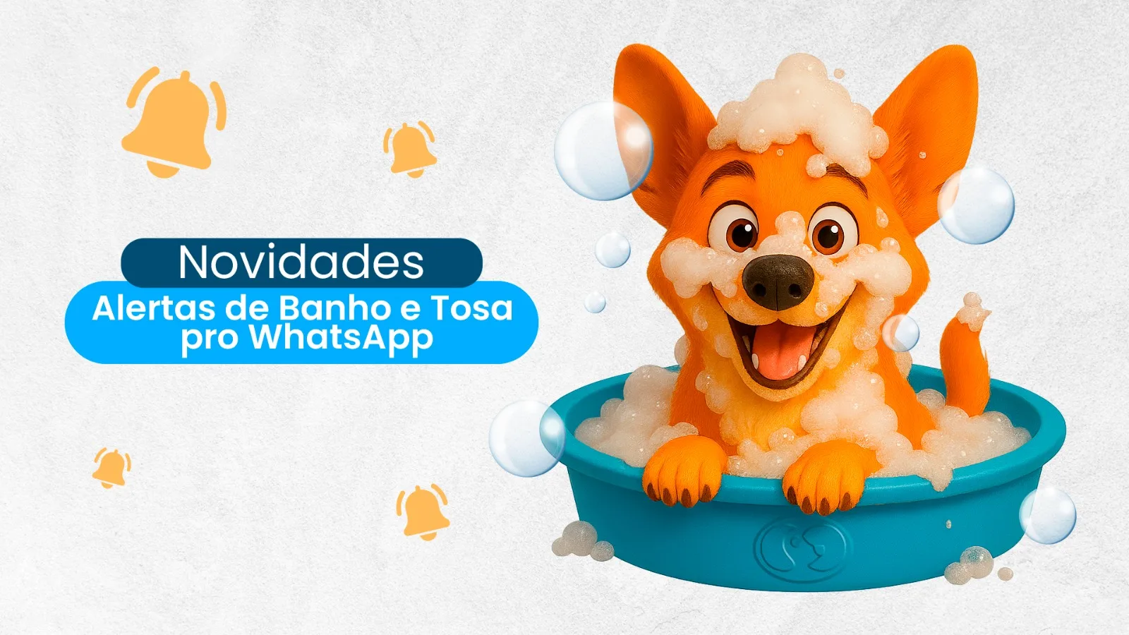 Avisos Automáticos de Início e Conclusão do Banho e Tosa, via WhatsApp!
